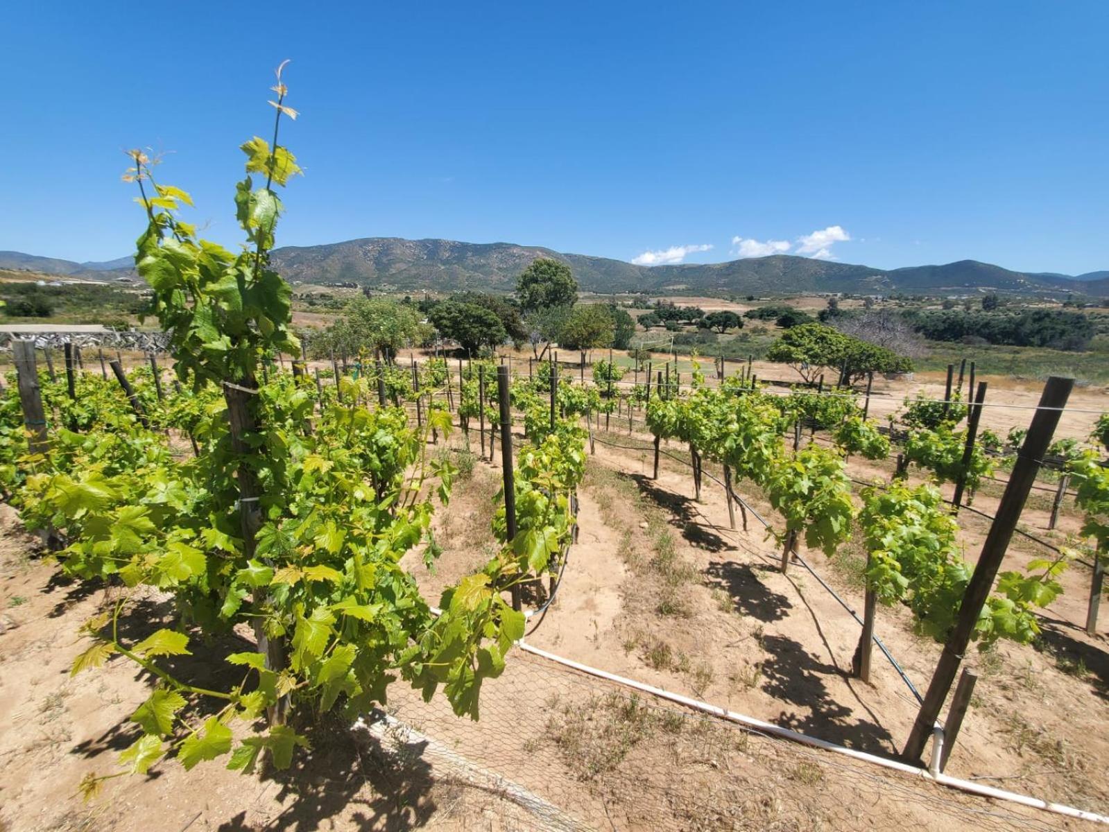 Finca Selah Ensenada Exterior photo